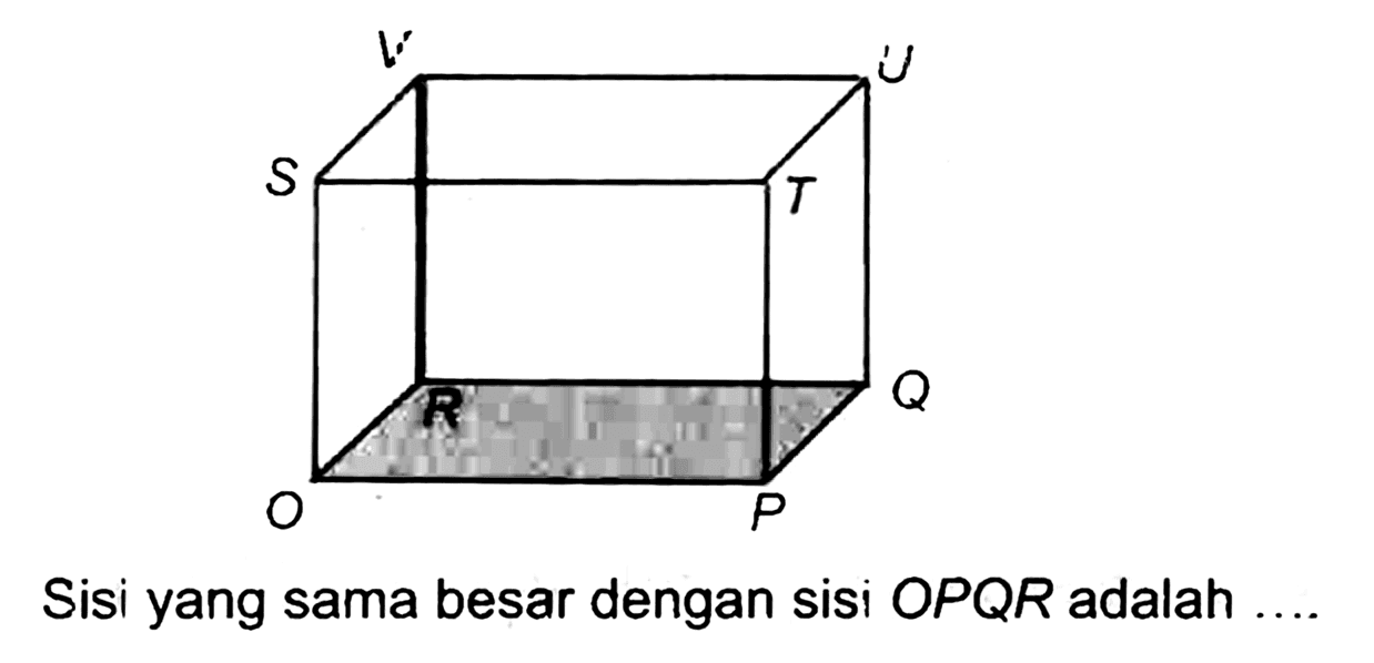 V U S T R Q O P
Sisi yang sama besar dengan sisi OPQR adalah ....