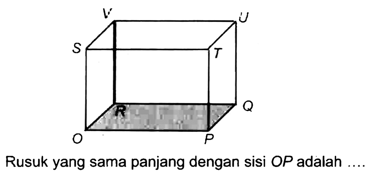 Rusuk yang sama panjang dengan sisi  O P  adalah