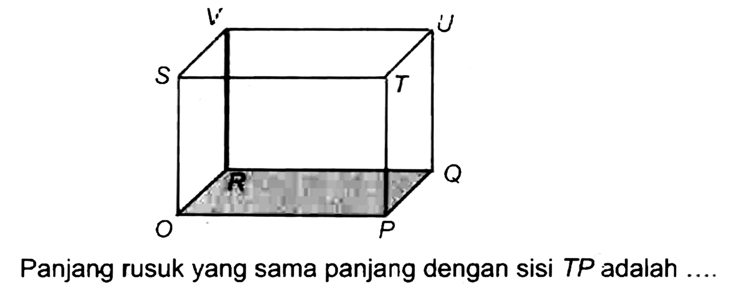 Panjang rusuk yang sama panjang dengan sisi TP adalah