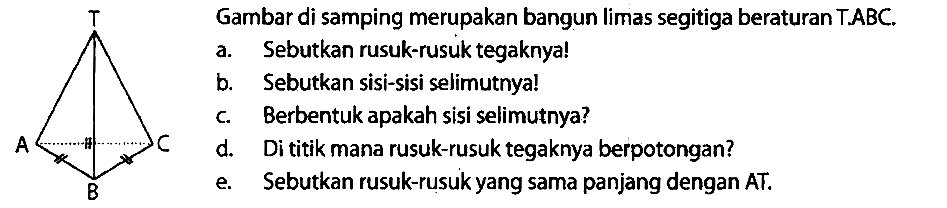 T Gambar di samping merupakan bangun limas segitiga beraturan TABC.
T A C B
a. Sebutkan rusuk-rusuk tegaknya!
b. Sebutkan sisi-sisi selimutnya!
c. Berbentuk apakah sisi selimutnya?
d. Di titik mana rusuk-rusuk tegaknya berpotongan?
e. Sebutkan rusuk-rusuk yang sama panjang dengan AT.