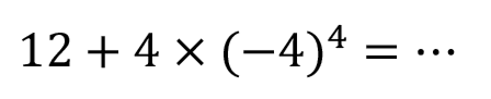 12+4 x(-4)^(4)=..