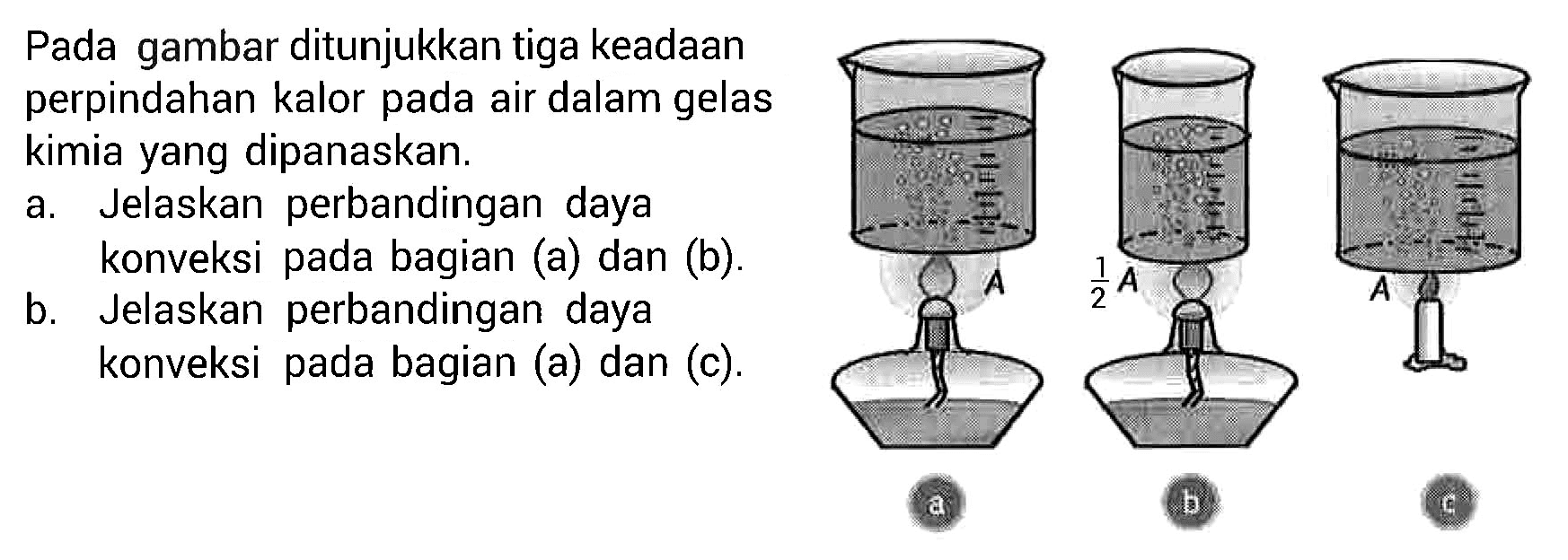 Pada gambar ditunjukkan tiga keadaan perpindahan kalor pada air dalam gelas kimia yang dipanaskan. a. Jelaskan perbandingan daya konveksi pada bagian (a) dan (b). b. Jelaskan perbandingan daya konveksi pada bagian (a) dan (c). A a 1/2 A b A c