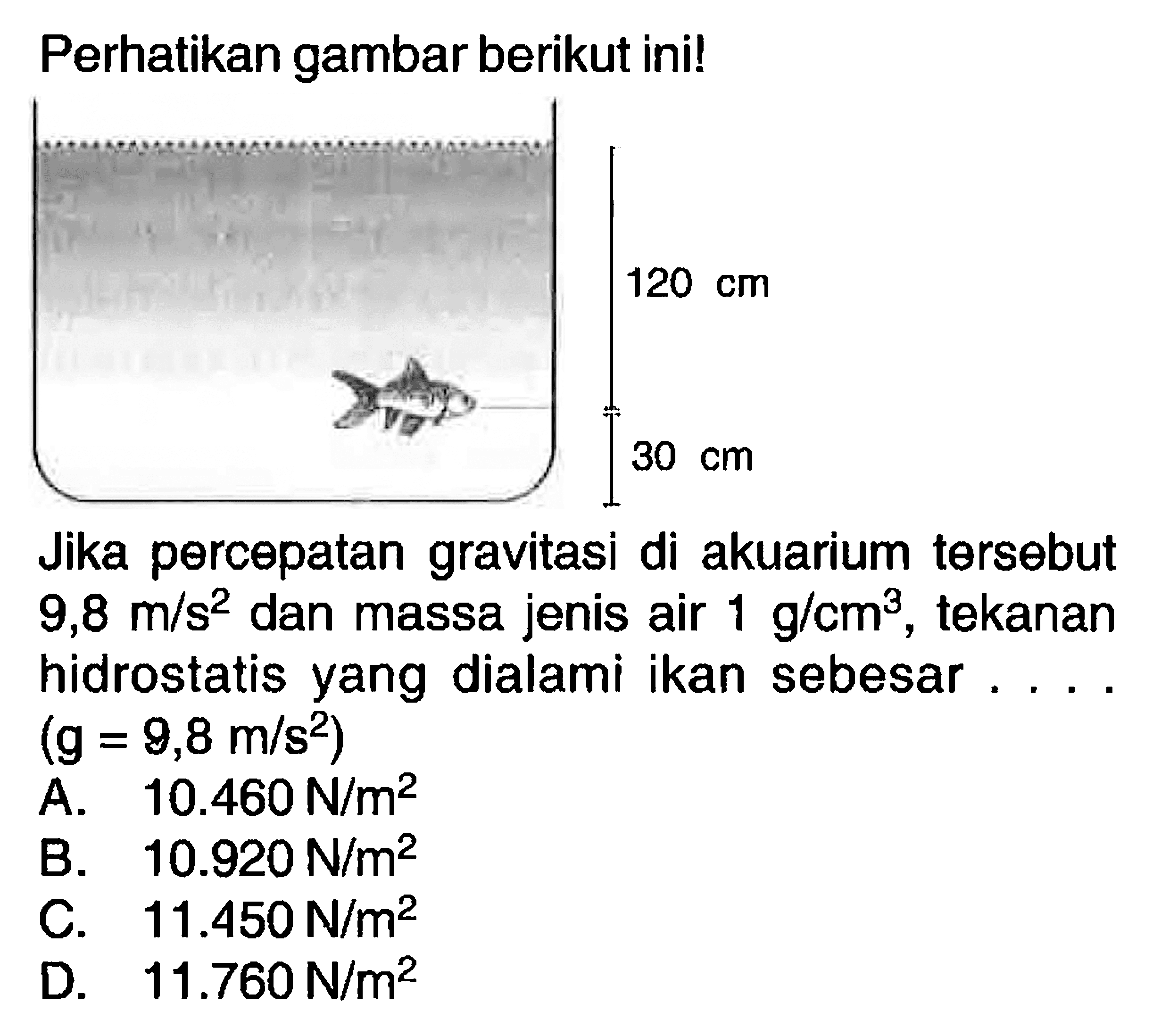 Perhatikan gambar berikut ini! Jika percepatan gravitasi di akuarium tersebut 9,8 m/s^2 dan massa jenis air 1 g/ cm^3, tekanan hidrostatis yang dialami ikan sebesar .... (g=9,8 m/s^2) 
