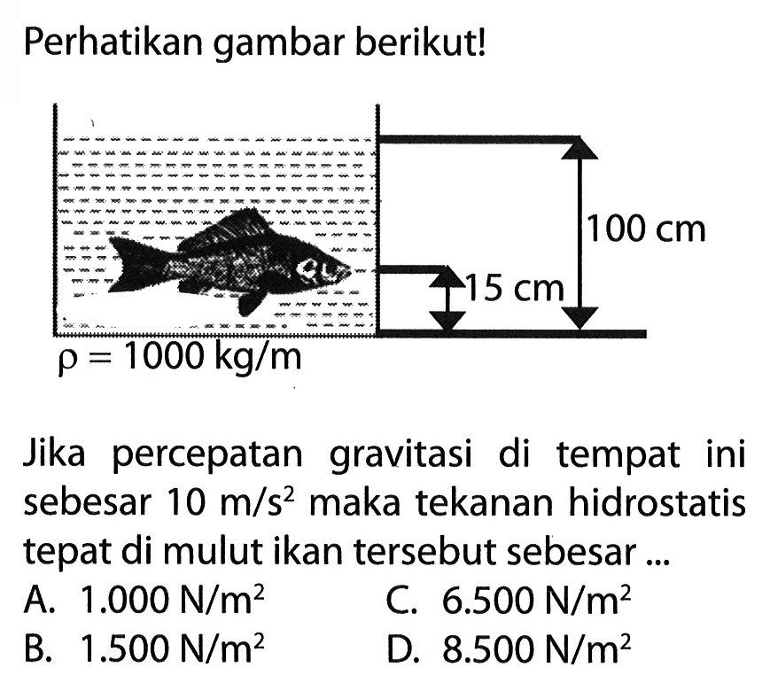 Perhatikan gambar berikut! rho=1000 kg/m 15 cm 100 cm Jika percepatan gravitasi di tempat ini sebesar 10 m/s^2 maka tekanan hidrostatis tepat di mulut ikan tersebut sebesar ....
