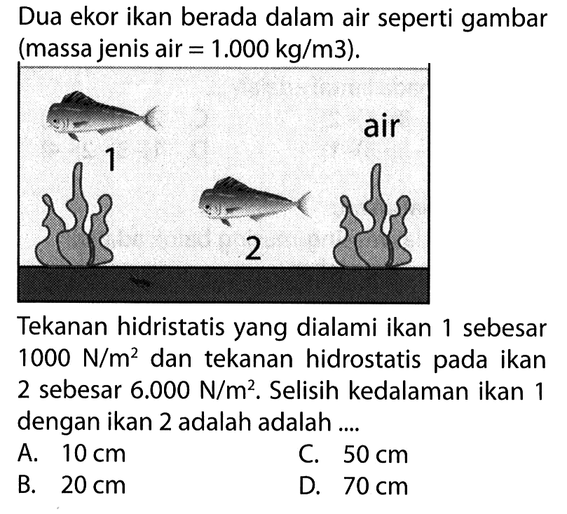 Dua ekor ikan berada dalam air seperti gambar (massa jenis air=1.000 kg/m^3). 1 2 air Tekanan hidrostatis yang dialami ikan 1 sebesar 1000 N/m^2 dan tekanan hidrostatis pada ikan 2 sebesar 6.000 N/m^2. Selisih kedalaman ikan 1 dengan ikan 2 adalah adalah .... 