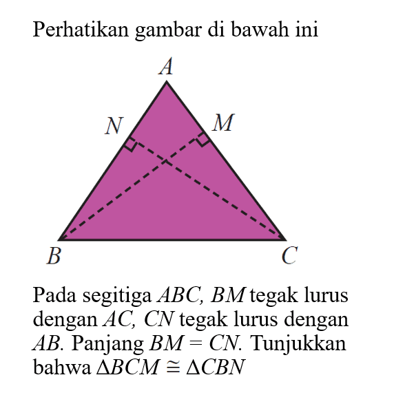 Perhatikan gambar di bawahiniPada segitiga  ABC, B M  tegak lurus dengan  AC, C N  tegak lurus dengan  AB .  Panjang  B M=C N .  Tunjukkan bahwa  segitigABC M kongruen segitiga C B N 