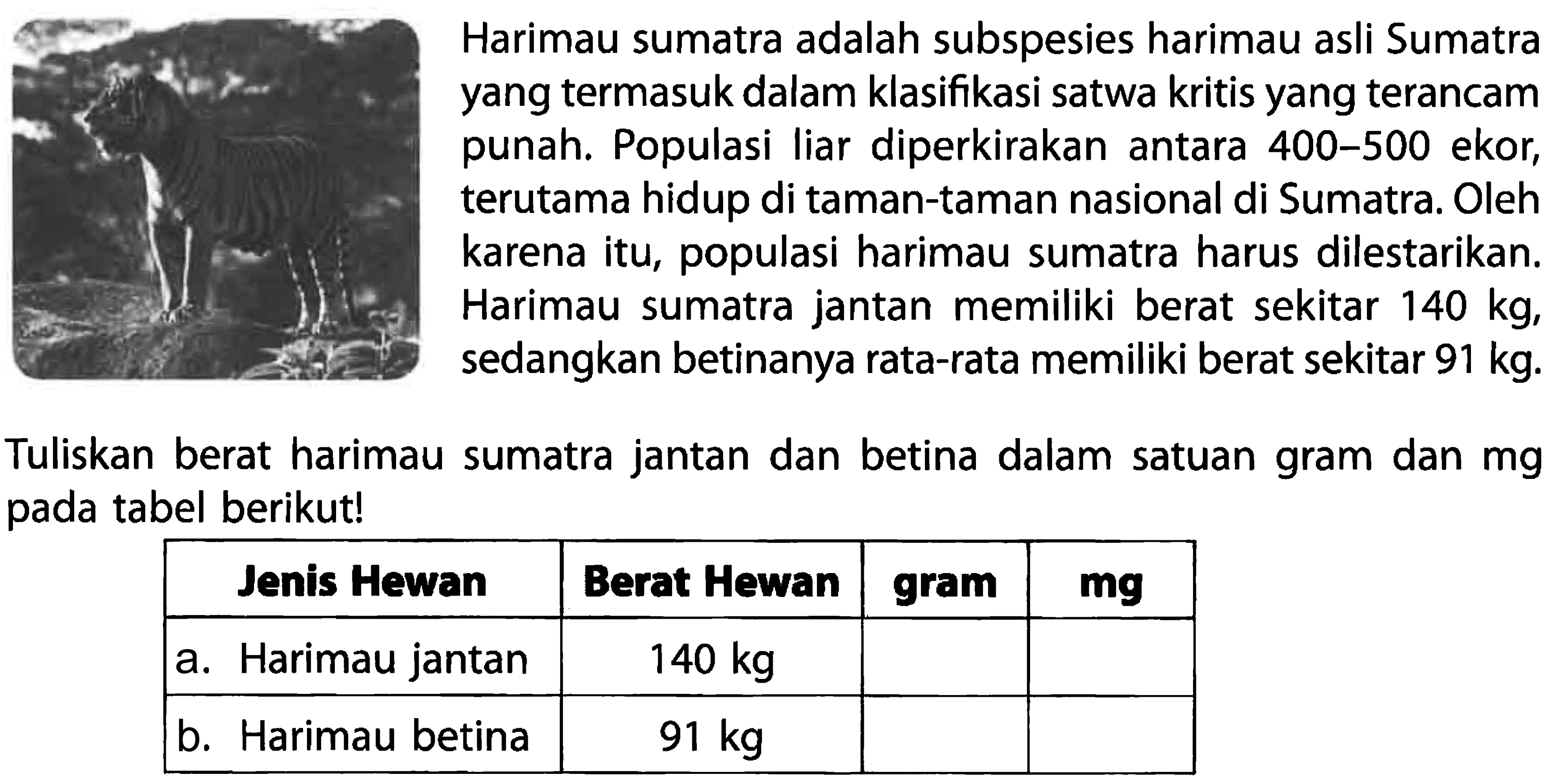 Harimau sumatra adalah subspesies harimau asli Sumatra yang termasuk dalam klasifikasi satwa kritis yang terancam punah. Populasi Iiar diperkirakan antara 400-500 ekor, terutama hidup di taman-taman nasional di Sumatra. Oleh karena itu, populasi harimau sumatra harus dilestarikan. Harimau sumatra jantan memiliki berat sekitar 140 kg, sedangkan betinanya rata-rata memiliki berat sekitar 91 kg. Tuliskan berat harimau sumatra jantan dan betina dalam satuan gram dan mg pada tabel berikut! Jenis Hewan Berat Hewan gram mg Harimau jantan 140 kg Harimau betina 91 kg