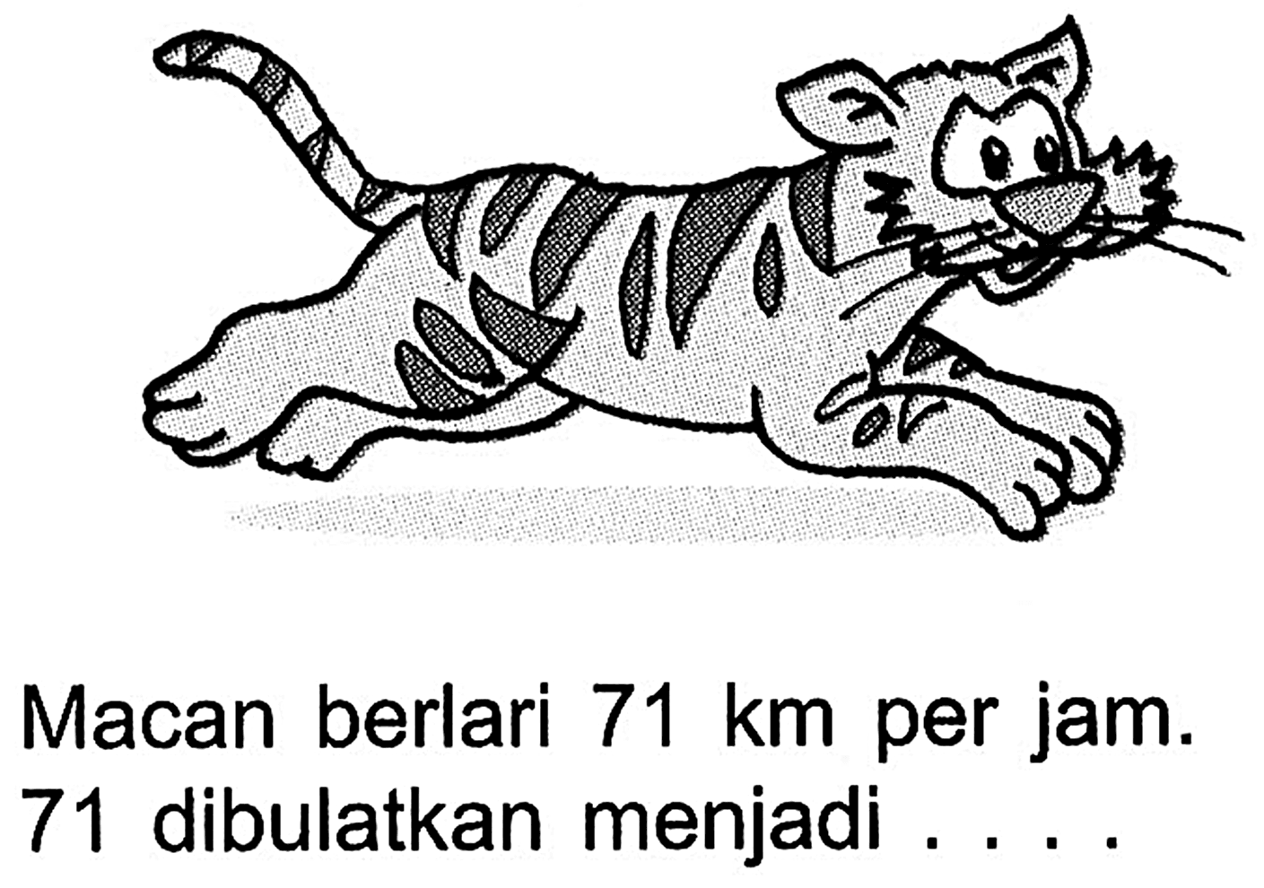 Macan berlari 71 km per jam. 71 dibulatkan menjadi