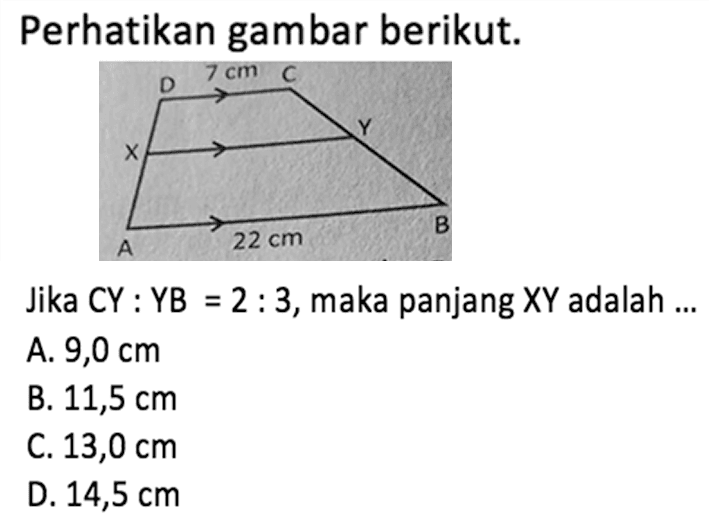 Perhatikan gambar berikut. 7 cm 22 cmJika CY:YB  =2:3, maka panjang XY adalah...A. 9,0 cm B. 11,5 cm C. 13,0 cm D. 14,5 cm 