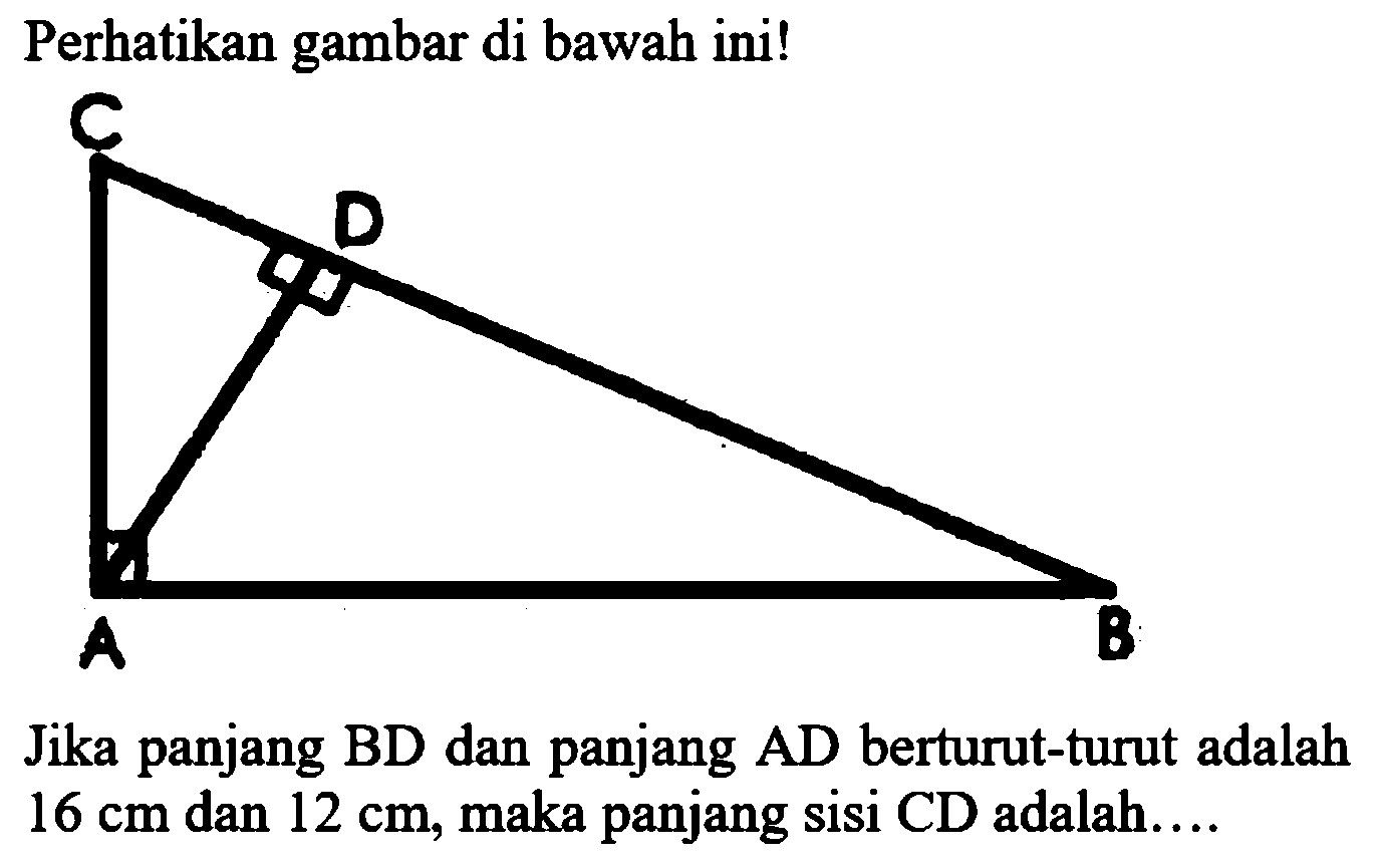 Perhatikan gambar di bawah ini!
Jika panjang BD dan panjang AD berturut-turut adalah  16 cm  dan  12 cm, maka panjang sisi CD adalah...