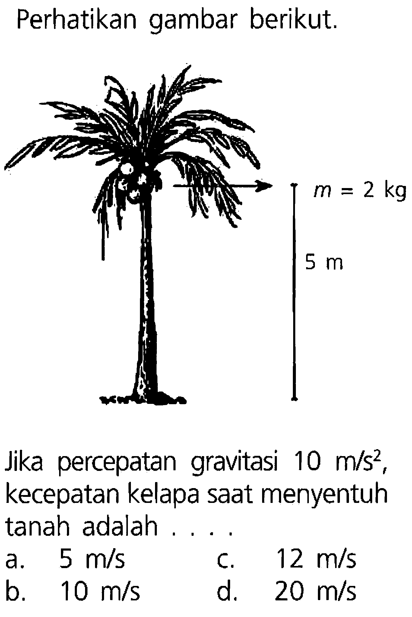 Perhatikan gambar berikut. m = 2 kg 5 m Jika percepatan gravitasi 10 m/s^2 , kecepatan kelapa saat menyentuh tanah adalah ....