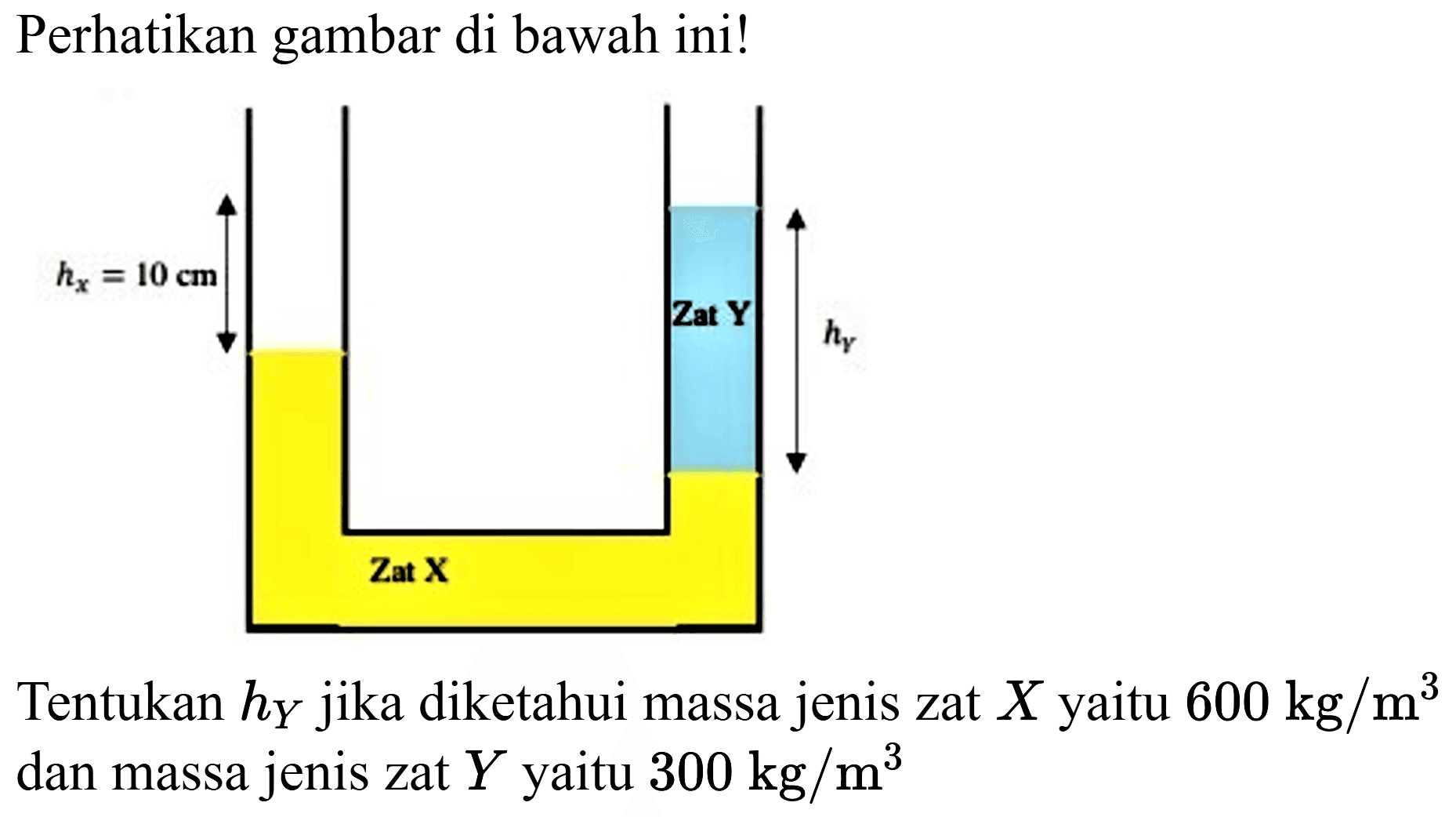 Perhatikan gambar di bawah ini!
Tentukan  h_(Y)  jika diketahui massa jenis zat  X  yaitu  600 kg / m^(3)  dan massa jenis zat  Y  yaitu  300 kg / m^(3) 