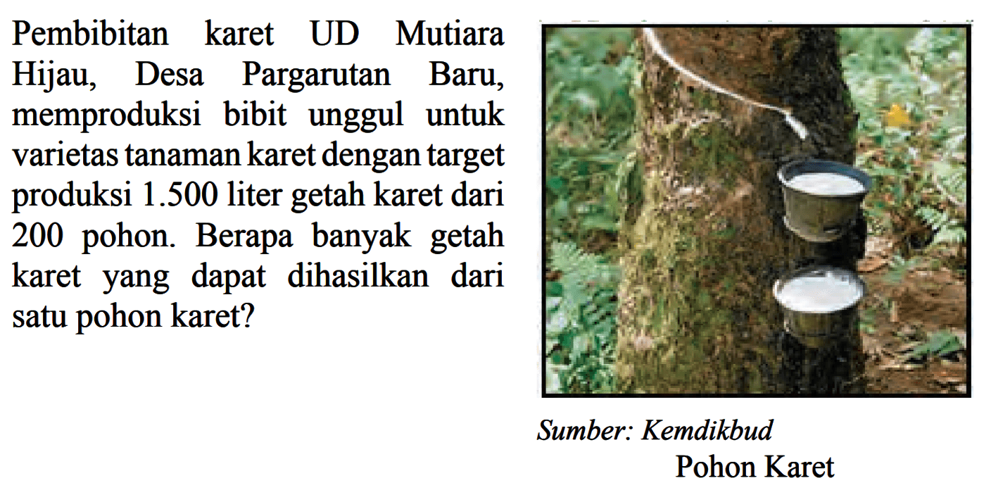 Pembibitan karet UD Mutiara Hijau, Desa Pargarutan Baru, memproduksi bibit unggul untuk varietas tanaman karet dengan target produksi  1.500  liter getah karet dari 200 pohon. Berapa banyak getah karetyang dapat dihasilkan dari satu pohon karet?Sumber: Kemdikbud Pohon Karet