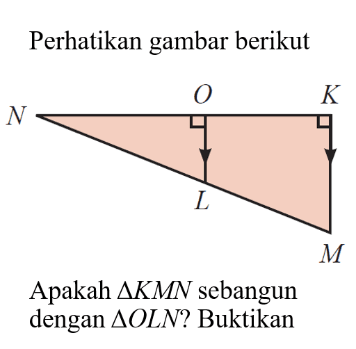 Perhatikan gambar berikutN O KL MApakah segitiga KMN sebangun dengan segitiga OLN?  Buktikan