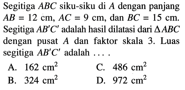 Segitiga ABC siku-siku di A dengan panjang  AB=12 cm, AC=9 cm, dan BC=15 cm. Segitiga AB'C' adalah hasil dilatasi dari segitiga ABC dengan pusat  A  dan faktor skala 3. Luas segitiga  AB'C' adalah... 