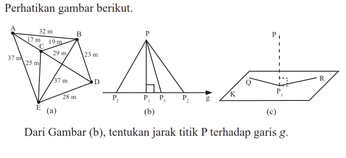 Perhatikan gambar berikut. Dari Gambar (b), tentukan jarak titik P terhadap garis g.