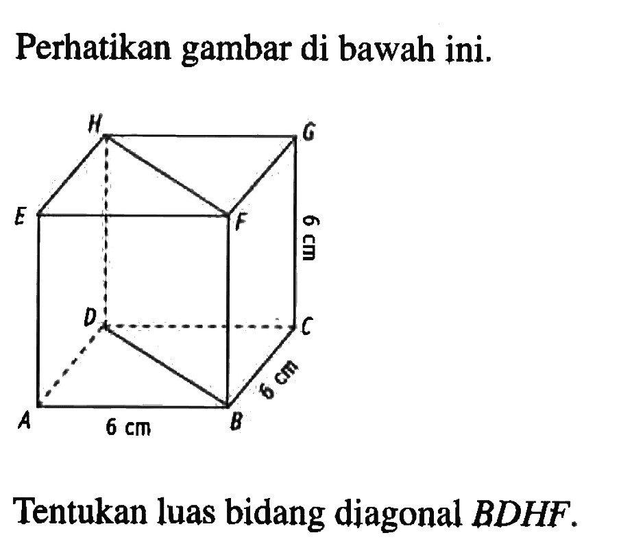 Perhatikan gambar di bawah ini.A B C D . E F G H 6 cm 6 cm 6 cmTentukan luas bidang diagonal  B D H F .