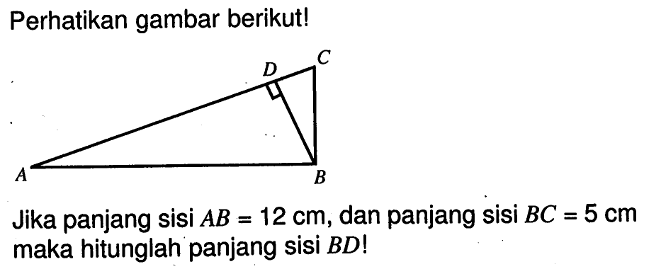 Perhatikan gambar berikut! Jika panjang sisi AB=12 cm, dan panjang sisi BC=5 cm maka hitunglah panjang sisi BD! 