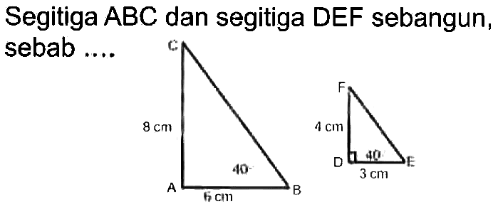 Segitiga  A B C  dan segitiga DEF sebangun,